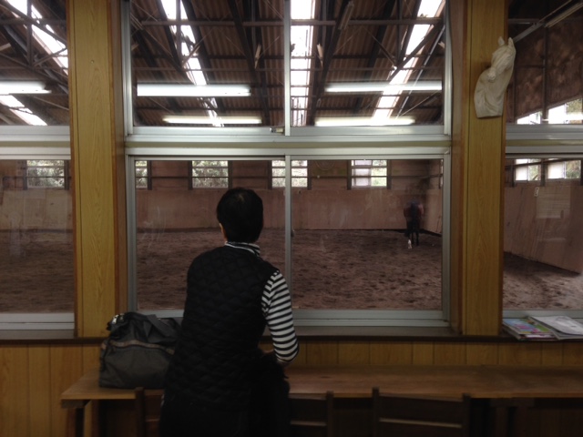 乗馬クラブで馬の放牧風景を見学しました！　茨城県龍ヶ崎市　Sさん